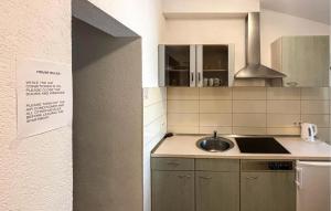 Awesome Apartment In Duce With House Sea View