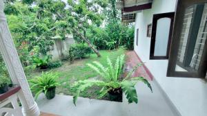 Cozy OMA House - Weligama