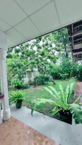 Cozy OMA House - Weligama