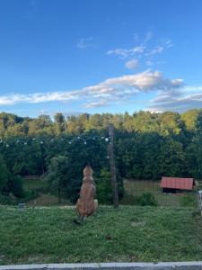 Prista Ranch Cirkulane 