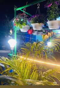 TG Homestay Kaziranga