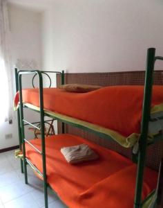 Welcoming apartment in Rosolina