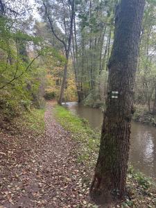 Ubytování uprostřed Evropy