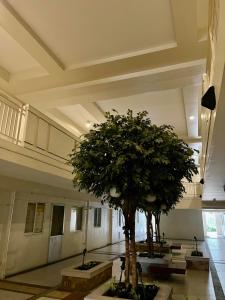 Viera Residences Haven