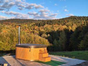 Zacisze Babci Ludwisi w Beskidzie Niskim