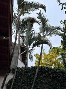 Casa Espaçosa na Vila Romana