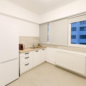 Entire Studio near Unirii City Center, Sector 5 - 827
