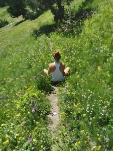 La Baita de la Foux D’allos