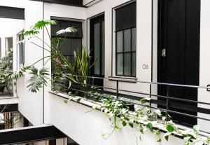 Puerta Roja Asombrosa Ubicacion en la Condesa