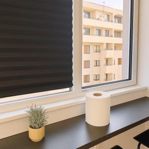 Entire Apartment in Sector 5 - 1027