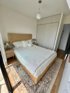 Great 1BR in San Isidro