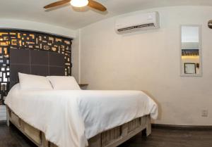 Mexico City Best Location Master Suite with Air Conditioner