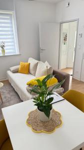 Charmant F2 avec extérieur et entrée indépendante