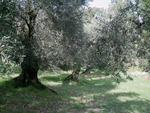 B&B Da Mariella