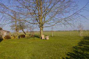 Inselblume 35 - Moderne Ferienwohnung in Neue Tiefe