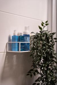 Scandinavian Apartment With Sauna & Parking - Lapnest