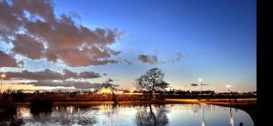 Bright 1 BDR Apt with Terrace & Great Travel Links