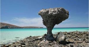 Casa Céntrica con Alberca!