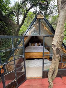 Forest small house-Lenana