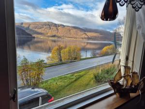 Kåfjord aurora northern light