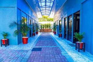 Deer Apartments Bahía Ballena