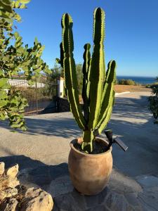 Finca Pozo de la Suerte