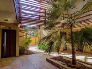 Oasis by Vila Coqueiros Cumbuco