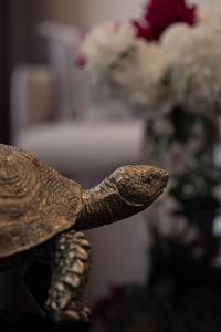 Suite Nr 4 - J26 LUXURY APARTMENT, Jauniela 26 Old Riga - TOP Location - 2BDR - 80m2