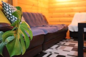 Secret Base Mysa - Vacation STAY 20323