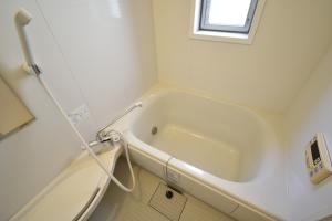 Kapalua East-Kapalua West - Vacation STAY 20388