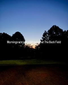 The Back Field