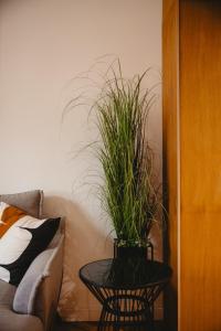 Heart of the City Apartment