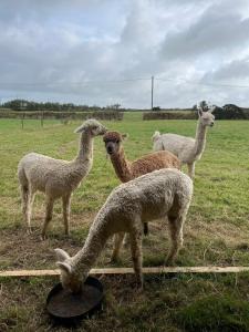 The Retreat Cornwall holiday home with hot tub