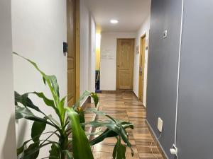 Apartamento Belen Malibu con 2 habitaciones, balcon y Patio