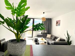 Colina Blossom Retreat - Balcony & Forest View