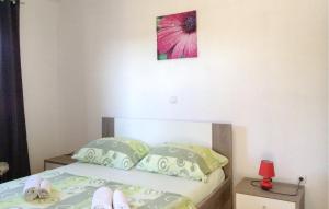 Lovely Apartment In Pakostane With Wifi