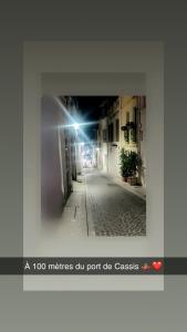 La Parenthèse Cassidaine