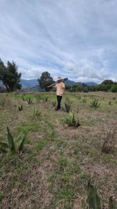 Cabañas la Peña del Zopilote
