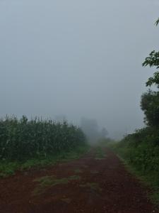 Cabañas la Peña del Zopilote