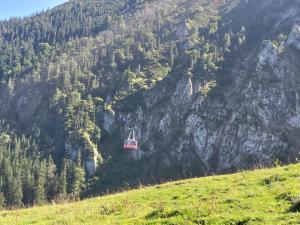 Ferienwohnung Schäfer