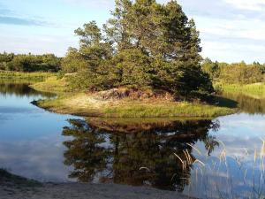 Cozy Beach House in albaek - By Traum Ferienwohnungen