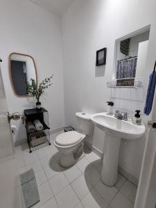 Auténtico en Centro Histórico