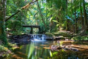 Ulysses Rainforest Retreat