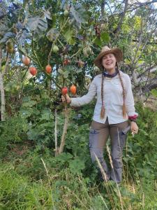 Hostal the backpackers