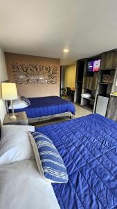 SUITE SEIS SEIS SUITE DOBLE Premium Suite TEC CEM con Cocineta WiFi Balcón Parking Terraza