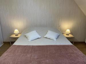 Séjournez à la lisière du Parc de Chambord, ancien gîte confortable proche des moulins - FR-1-491-352