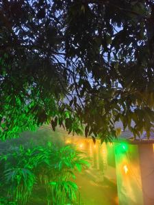 CLOUD HUGS COUPLES STAY Rooms Vagamon