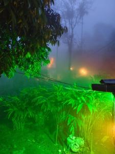 CLOUD HUGS COUPLES STAY Rooms Vagamon