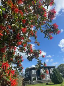 Cabañas Los Aromos de Puerto Varas