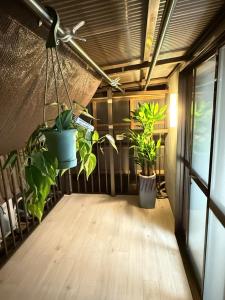 Ume-no-Yado Villa 梅の宿 - A house with a traditional Japanese garden